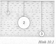 Bài tập Vật lý 8 lực đẩy ác-si-mét
