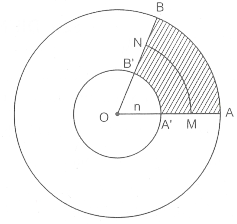 Diện tích hình tròn Hình học 9