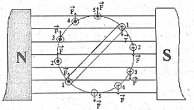 Bài tập vật lý 9 Động cơ điện một chiều 