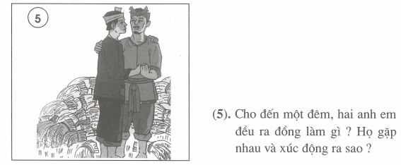Đề kiểm tra cuối tuần Tiếng Việt 4 Tuần 6. 