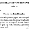 Đề kiểm tra cuối tuần 19 Tiếng Việt lớp 3