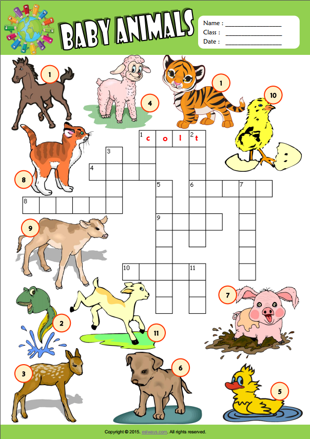 Baby Animals ESL Vocabulary Crossword Puzzle Worksheet For Kids 
