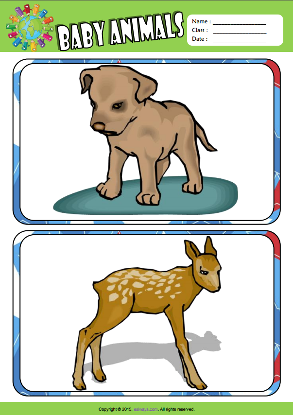 Baby Animals ESL Vocabulary Flashcards For Kids 