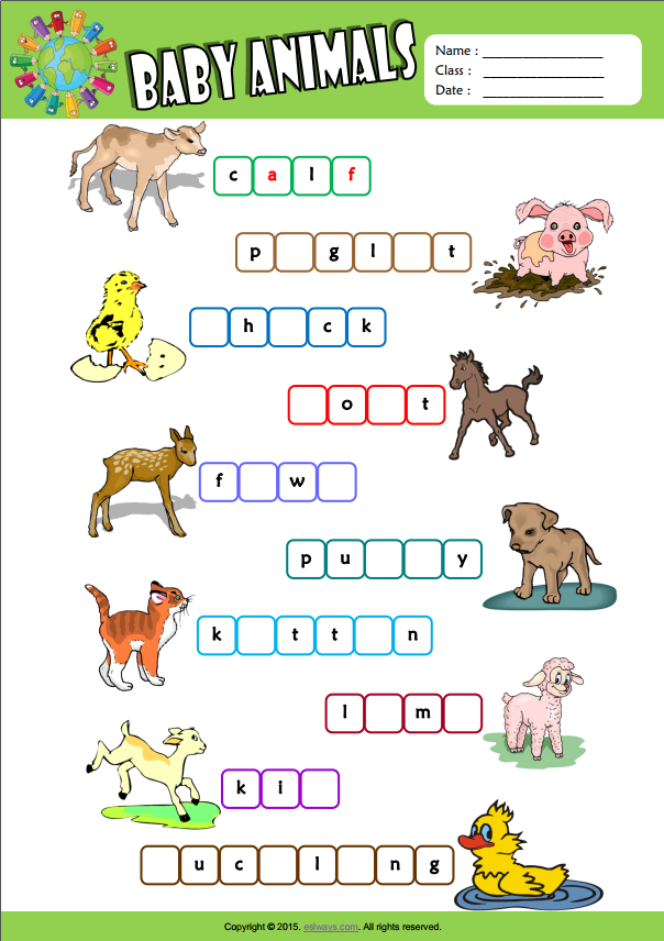 baby animals pictures for kids