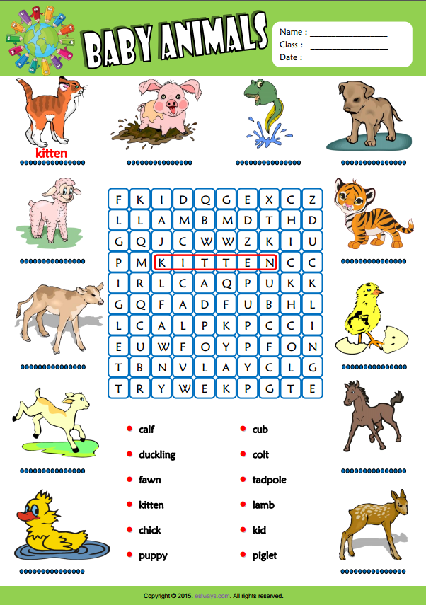 Baby Animals ESL Vocabulary Word Search Worksheet For Kids 