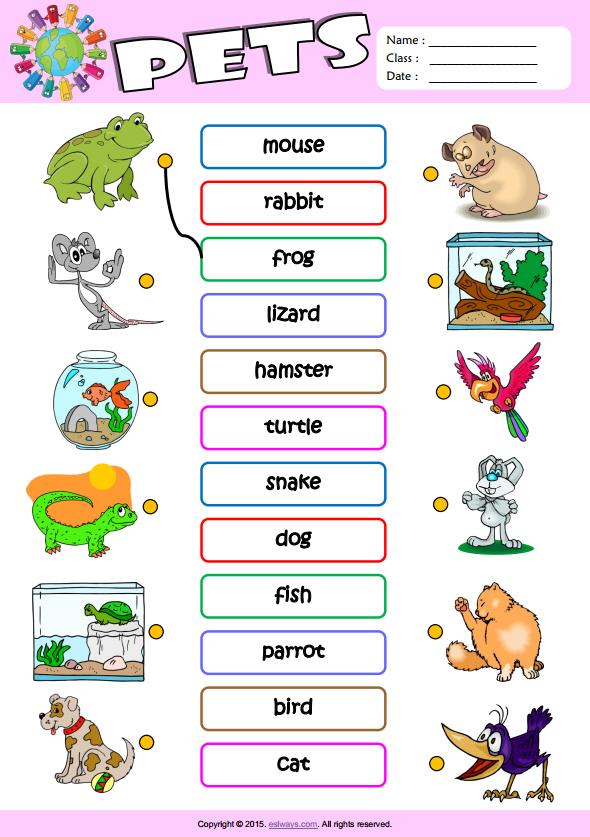 Pets огэ. Животные на английском задания. Питомцы задания для дошкольников английский. Pets упражнения для детей. Интересные задания по английскому.