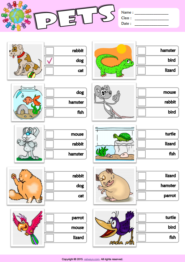 Pets ESL Vocabulary Multiple Choice Worksheet For Kids ...