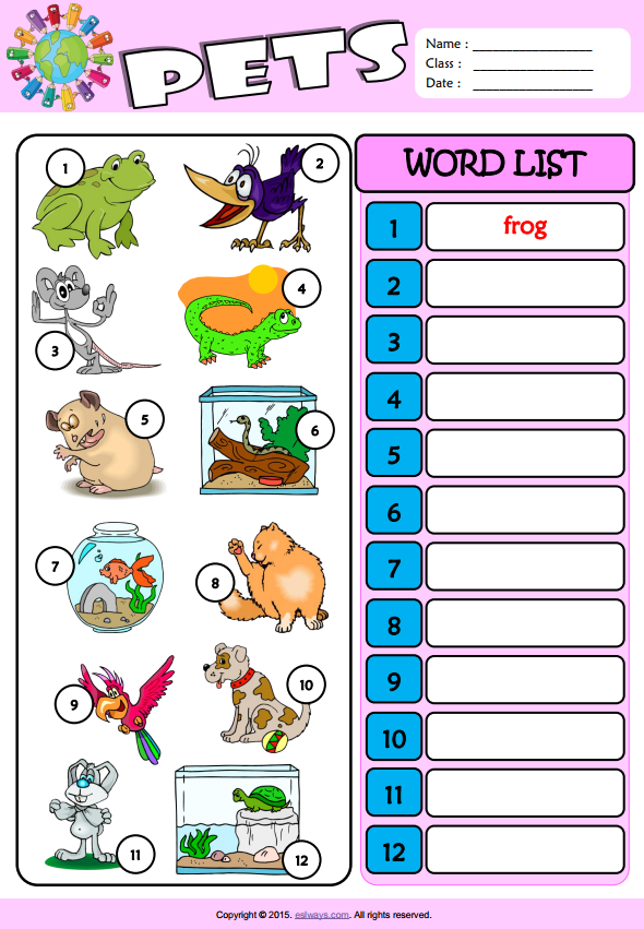 Pets ESL Vocabulary Write The Words Worksheet For Kids ...
