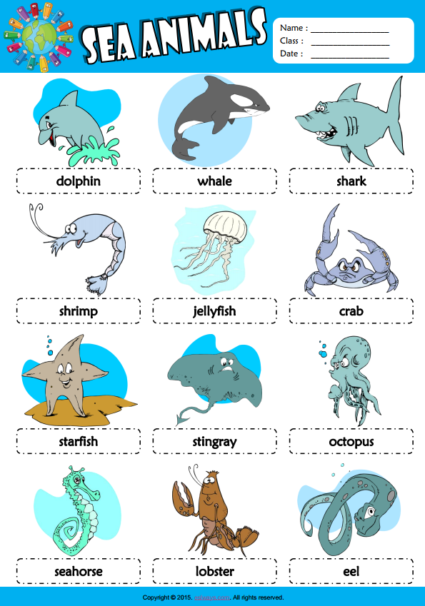 Sea Animals ESL Picture Dictionary For Kids  