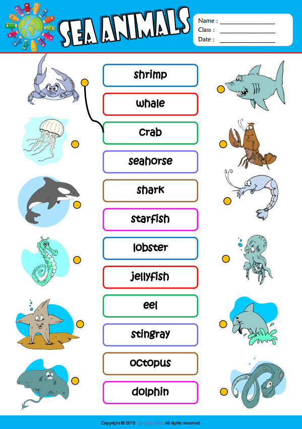 Sea Animals ESL Vocabulary Matching Exercise Worksheet For Kids 