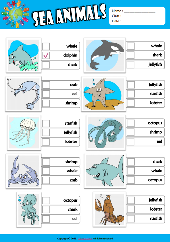 Sea Animals ESL Vocabulary Multiple Choice Worksheet For Kids 