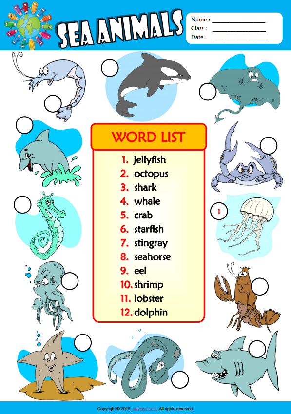 Sea Animals ESL Vocabulary Number The Pictures Worksheet For Kids |  