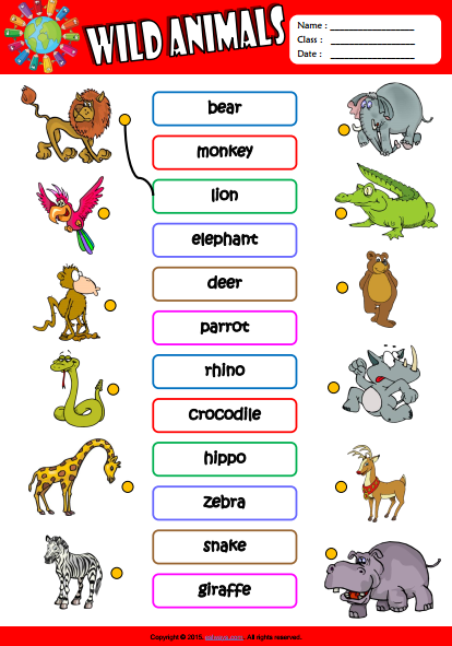 Wild Animals ESL Vocabulary Matching Exercise Worksheet For Kids |  
