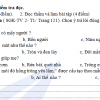 39 Đề thi cuối học kỳ I Tiếng Việt 2